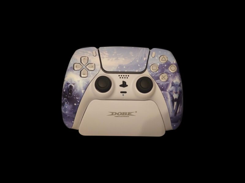 Sony Playstation5 Custom Controller "Arktis"
